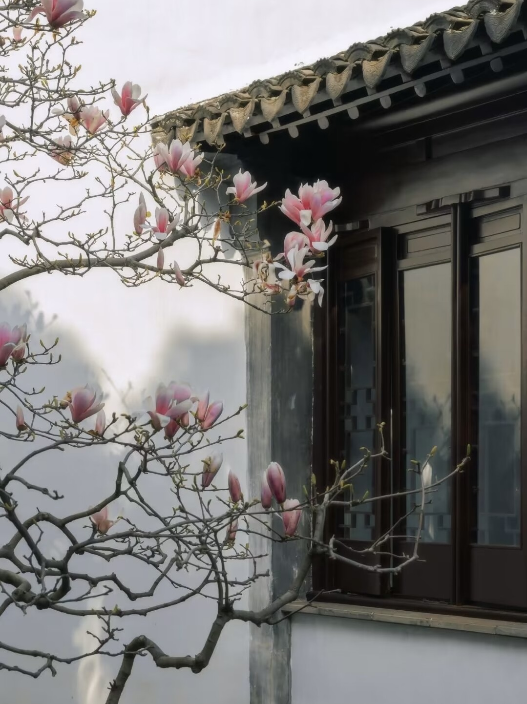 夢(mèng)里夢(mèng)外，是你，還是你(圖6)