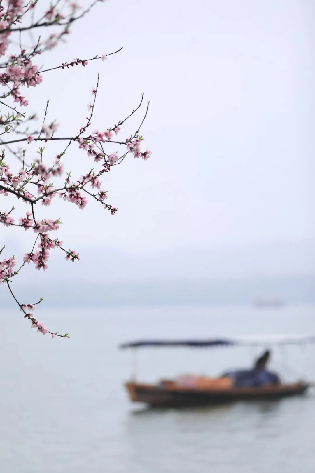 三月三，上巳節(jié)，踏春去！(圖13)
