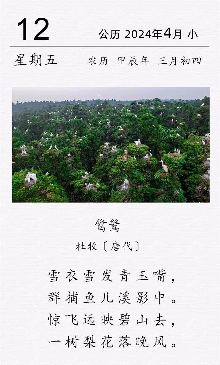 杜牧《鷺鷥》.jpg 杜牧《鷺鷥》(圖1)