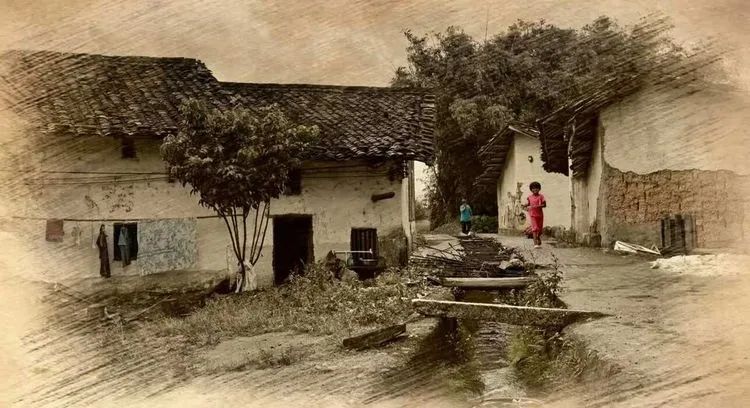 酒有千日好，人無(wú)再少年(圖2)