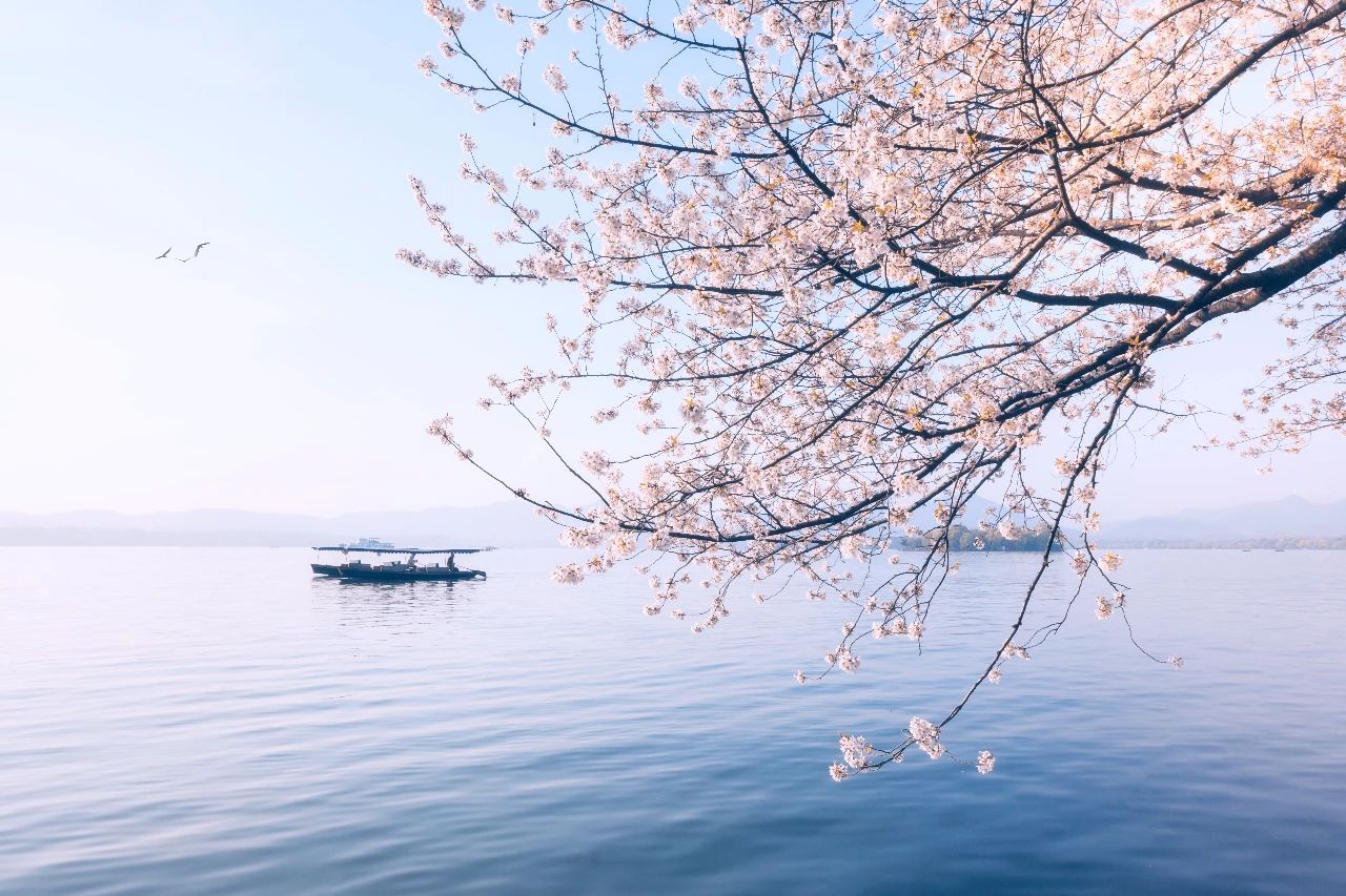 人隨春好花爛漫，春與人宜自安然(圖1)