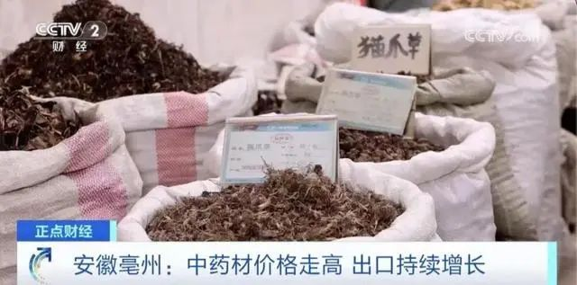 炒黃金竟然不如炒白術(shù)（zhú）？一些藥材已暴漲近十倍！(圖2)
