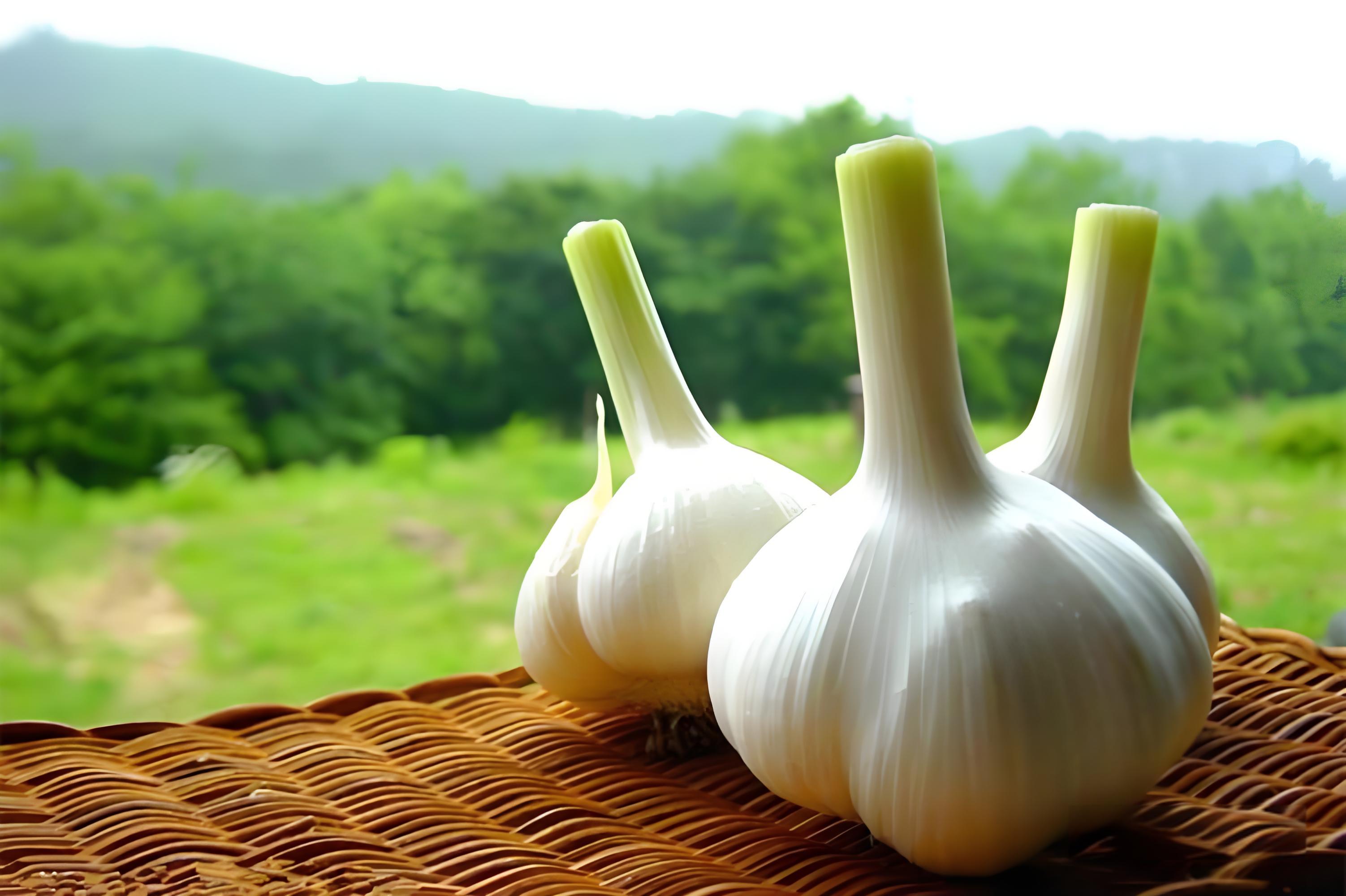 坊間流傳的“換血”食物，常吃血管會(huì)很“開心”，了解下吧(圖3)