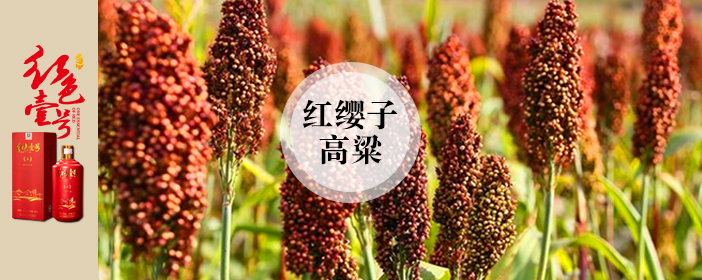 白酒為何說是陰陽五行的產(chǎn)物？(圖2)