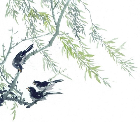 七首暮春詩(shī)詞，清麗唯美，意韻深遠(yuǎn)，道盡繁華與落寞(圖5)