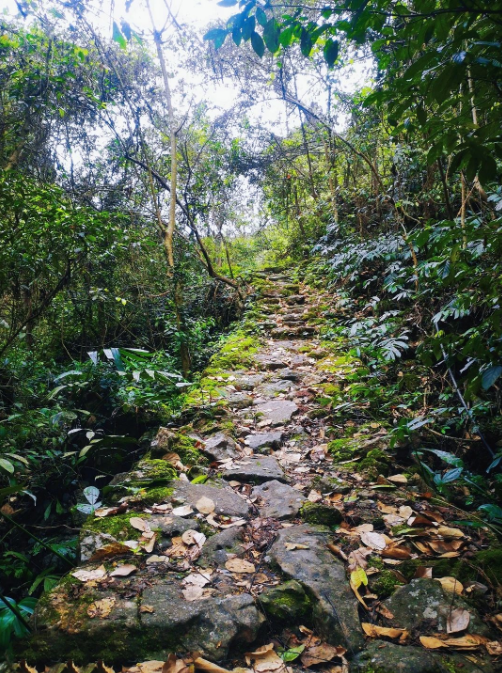 遍地“藍寶石”！廣西這里成為“五一”最受歡迎的小眾旅游目的地(圖39)