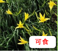 【營(yíng)養(yǎng)與食品】入夏預(yù)防食物中毒指南(圖7)