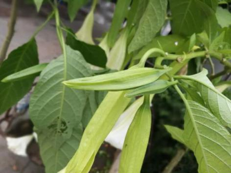 【營(yíng)養(yǎng)與食品】入夏預(yù)防食物中毒指南(圖8)