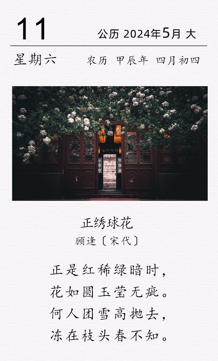 顧逢《?正繡球花》(圖1)