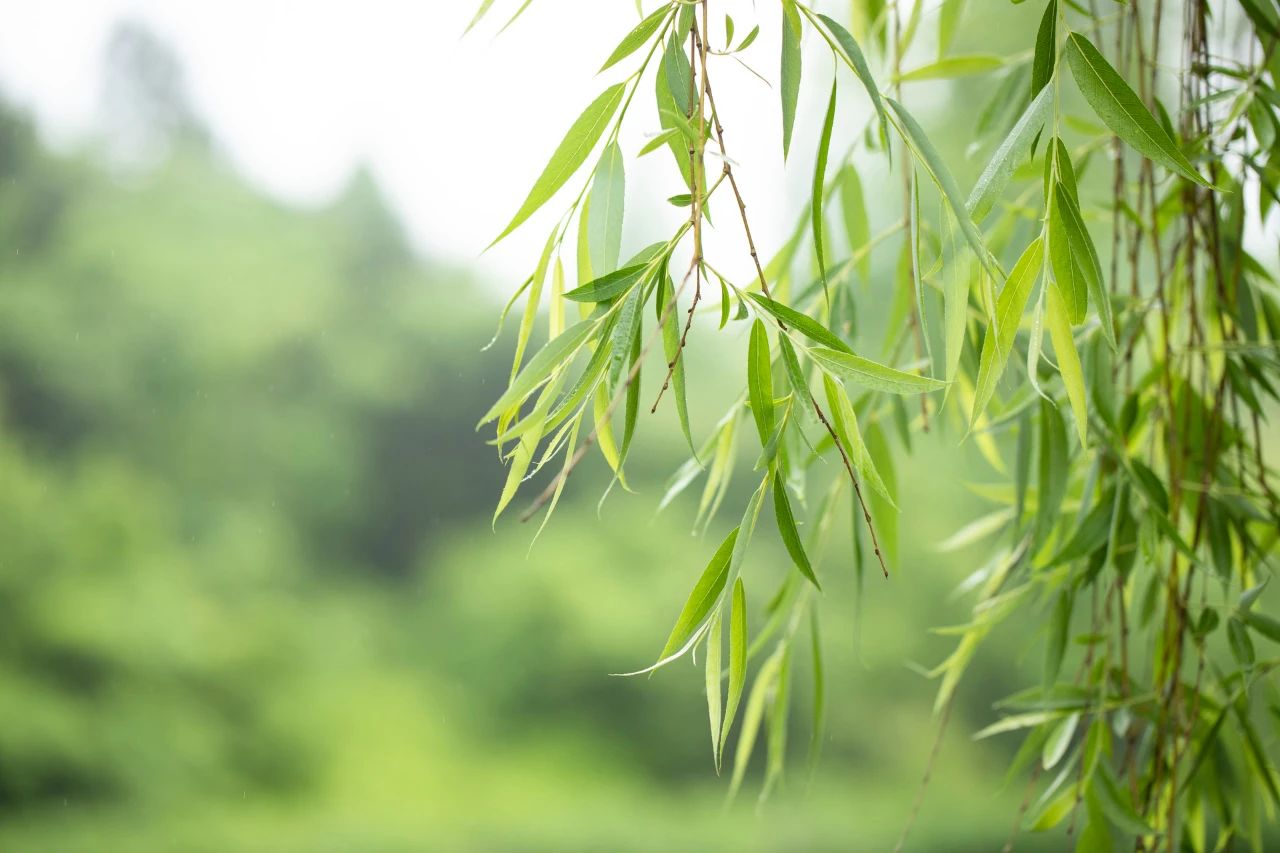 夢(mèng)里夢(mèng)外，是你，還是你(圖3)