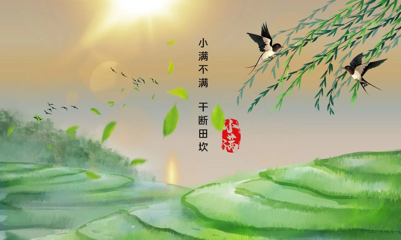 今日小滿｜人生不求太滿，小滿即是圓滿(圖9)