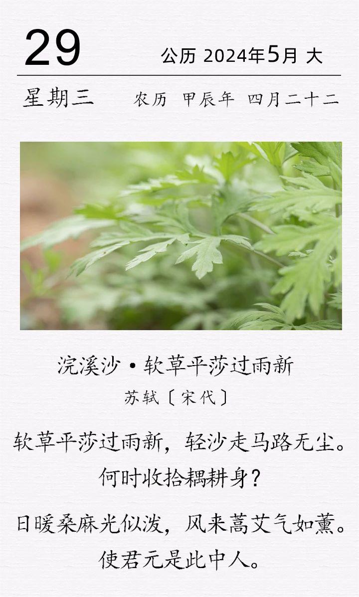 蘇軾《浣溪沙·軟草平莎過(guò)雨新》(圖1)