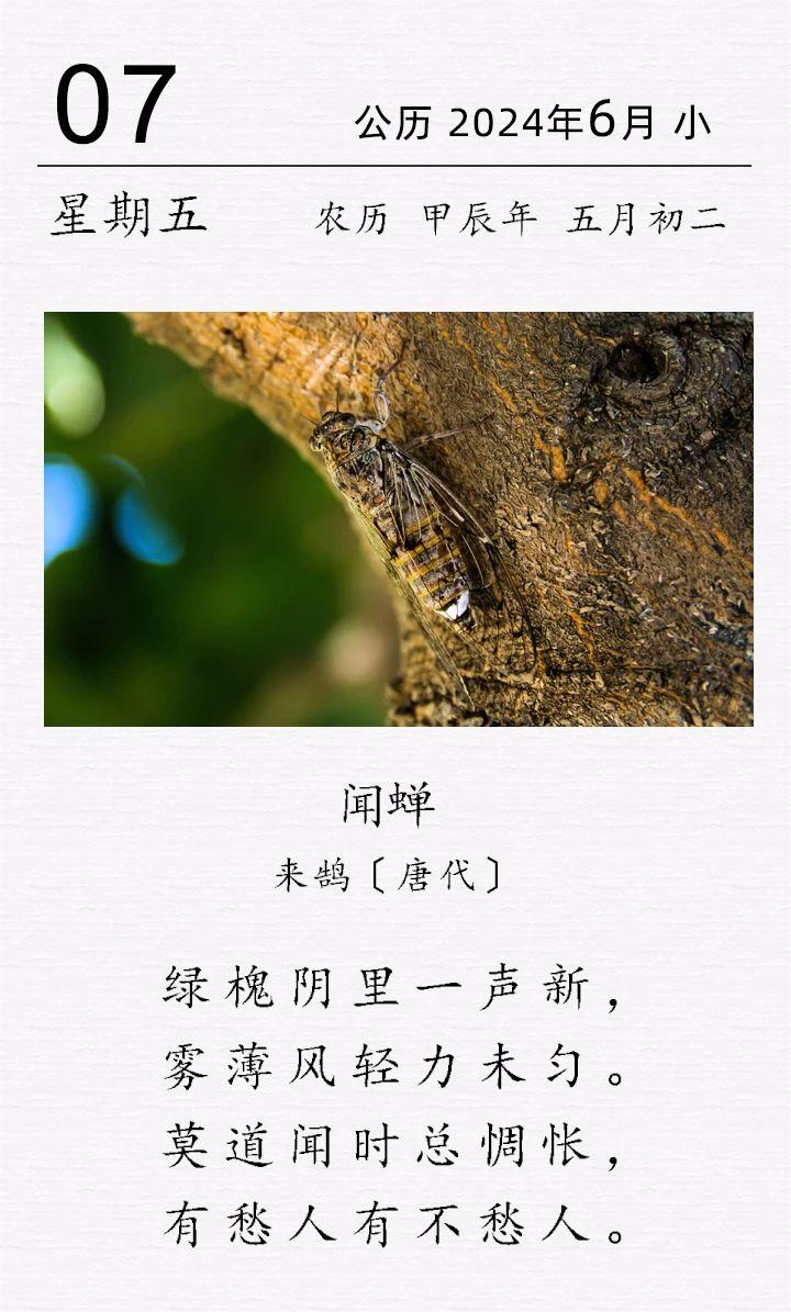 來鵠《聞蟬》.jpg 來鵠《聞蟬》(圖1)
