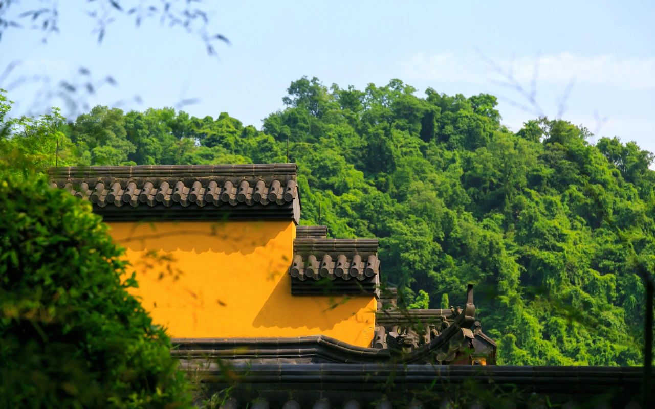符竹方為累,形跡一來疏.jpg 韋應(yīng)物《游開元精舍》(圖2)