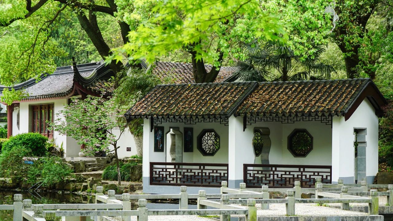 夏日?qǐng)D鑒，有一院子足矣(圖5)