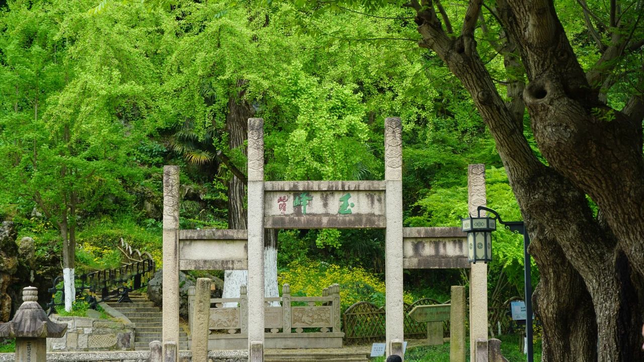 簾動夏風起，心靜自清涼(圖1)