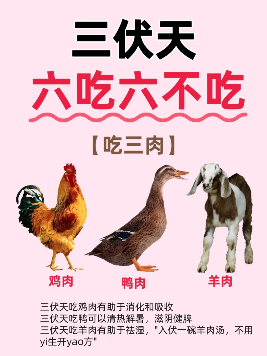 三伏將至?記住6吃??6不吃?_1_芃芃媽聊育兒_來(lái)自小紅書(shū)網(wǎng)頁(yè)版.jpg 三伏將至?記住6吃??6不吃?(圖1)