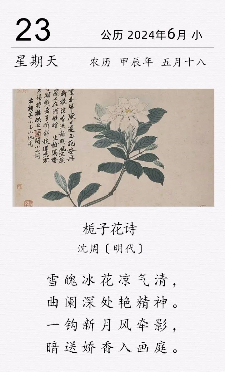 沈周《梔子花詩》(圖1)