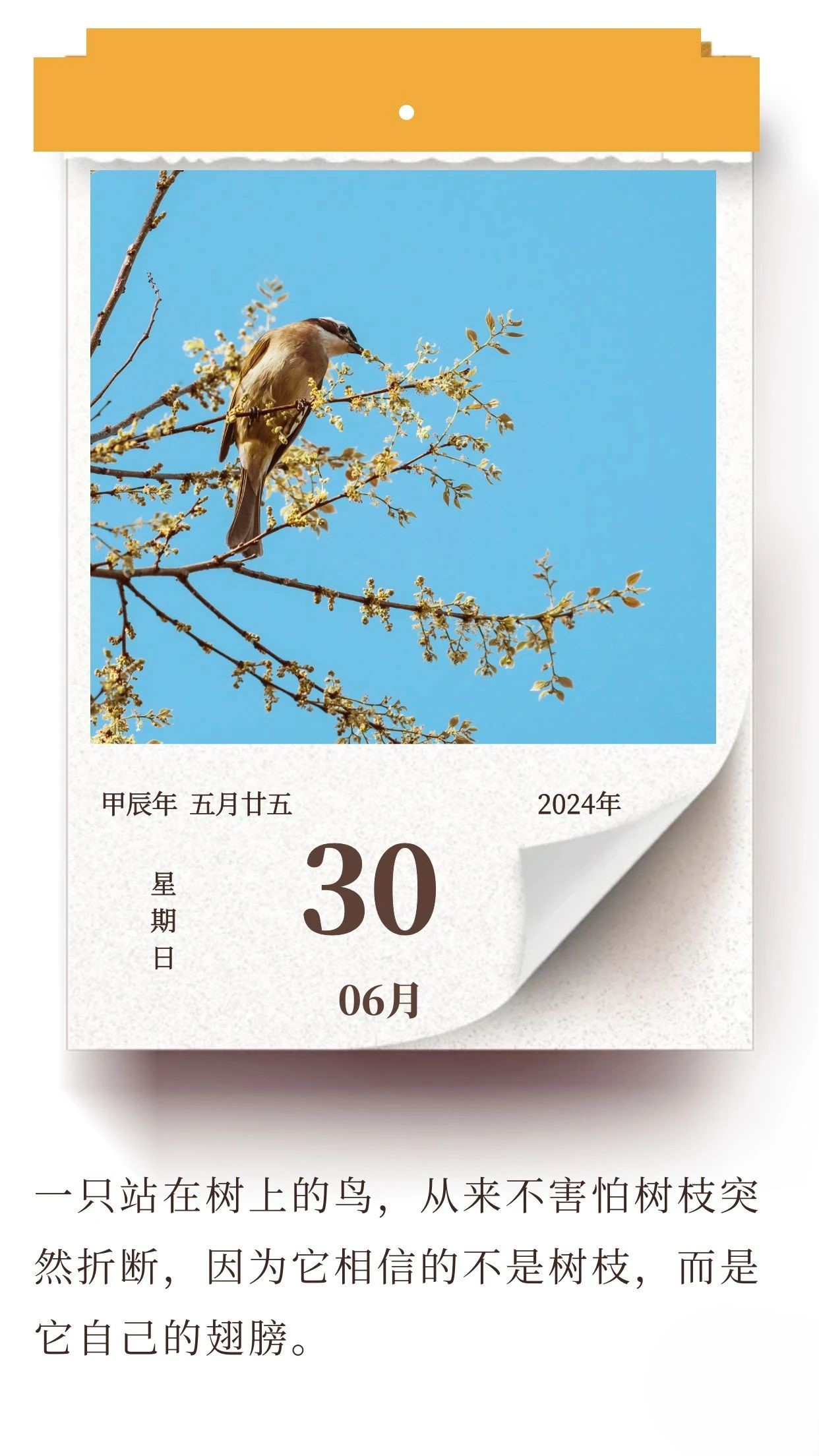努力提升自己，比依靠他人要更可靠 ???(圖1)