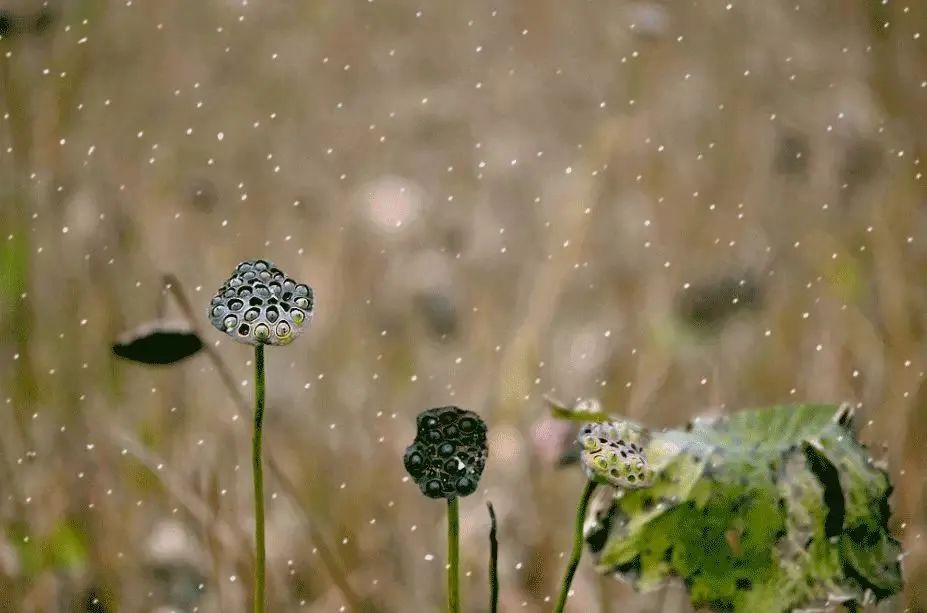 下雨天，喝酒天：此乃人生第二歡！(圖3)