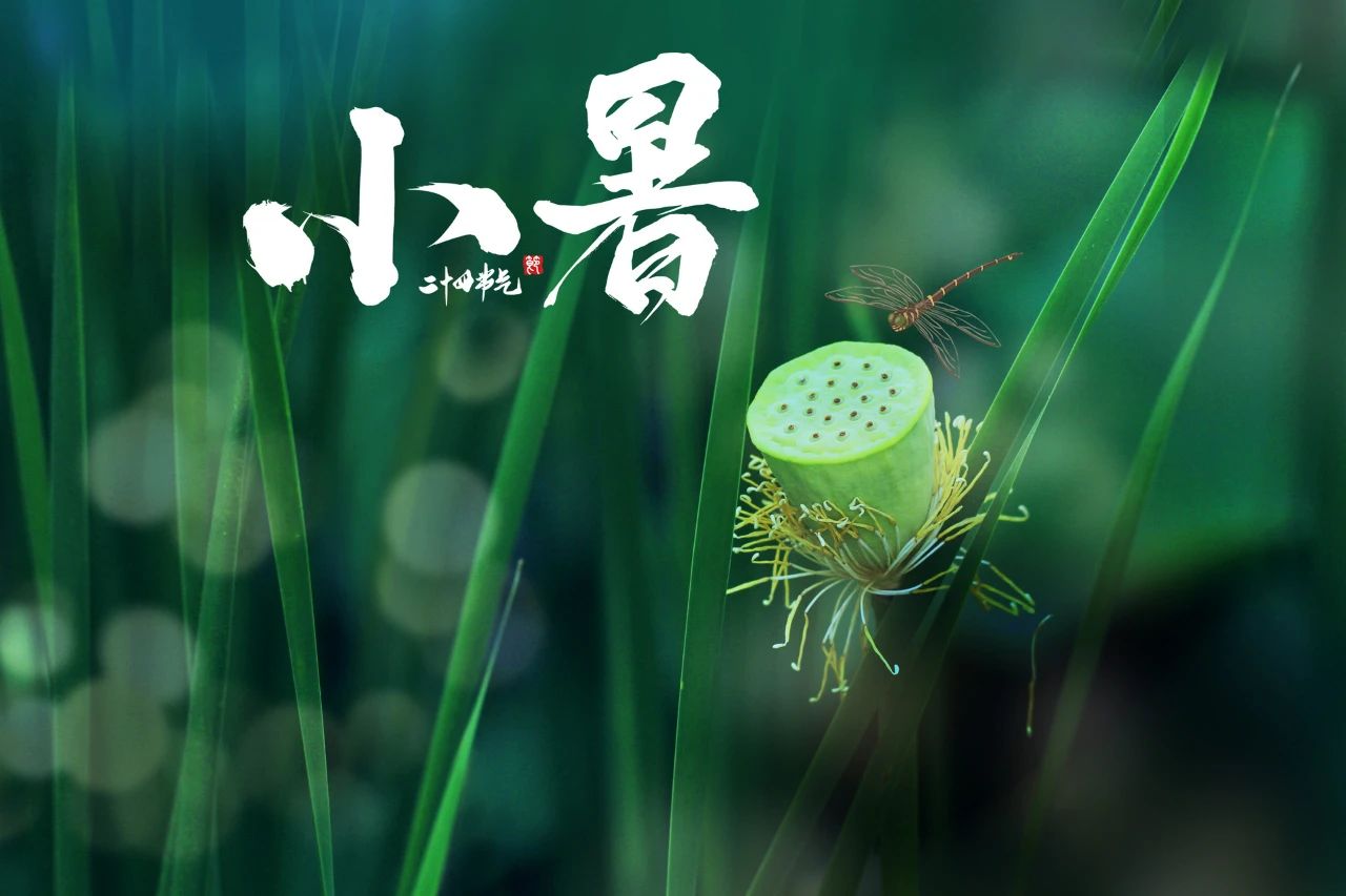 今日小暑，借“天時(shí)”排出體內(nèi)寒氣的最好時(shí)機(jī)，切勿耽擱！(圖11)