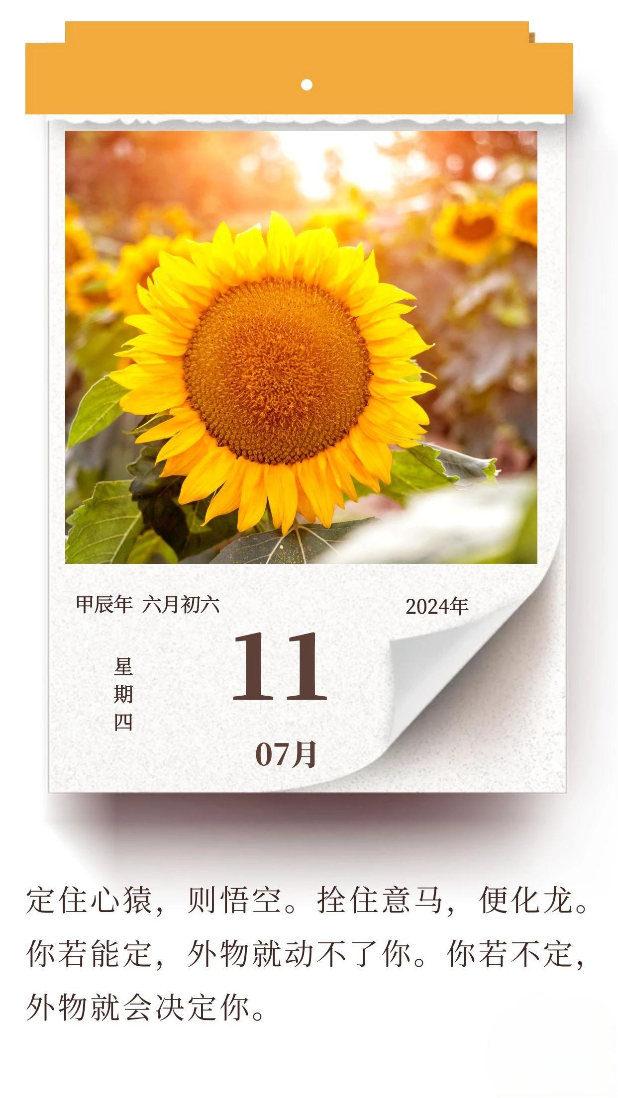 學(xué)會(huì)沉淀自己，才能活成想要的樣子(圖1)