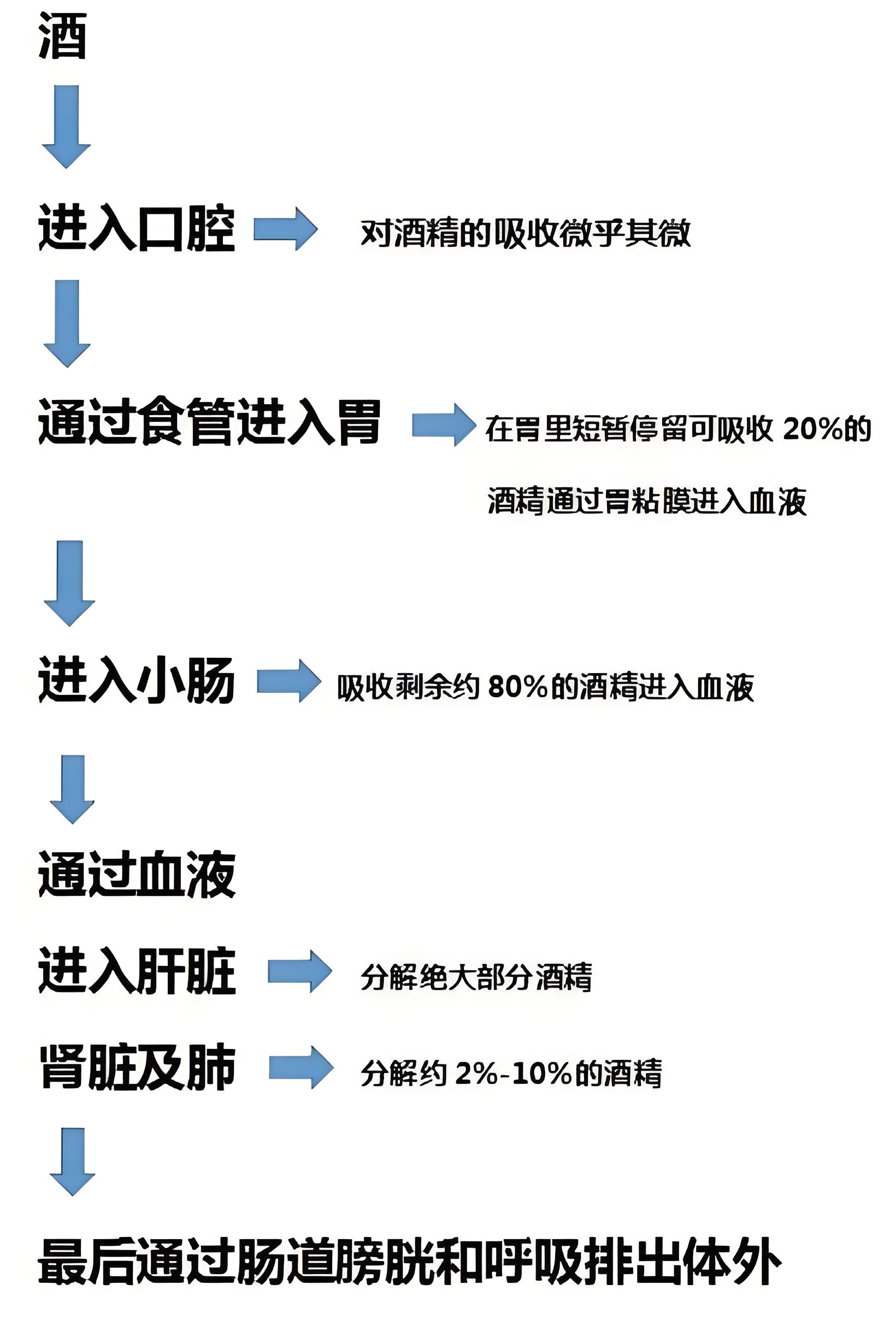 喝酒到底對健身有什么影響？(圖1)