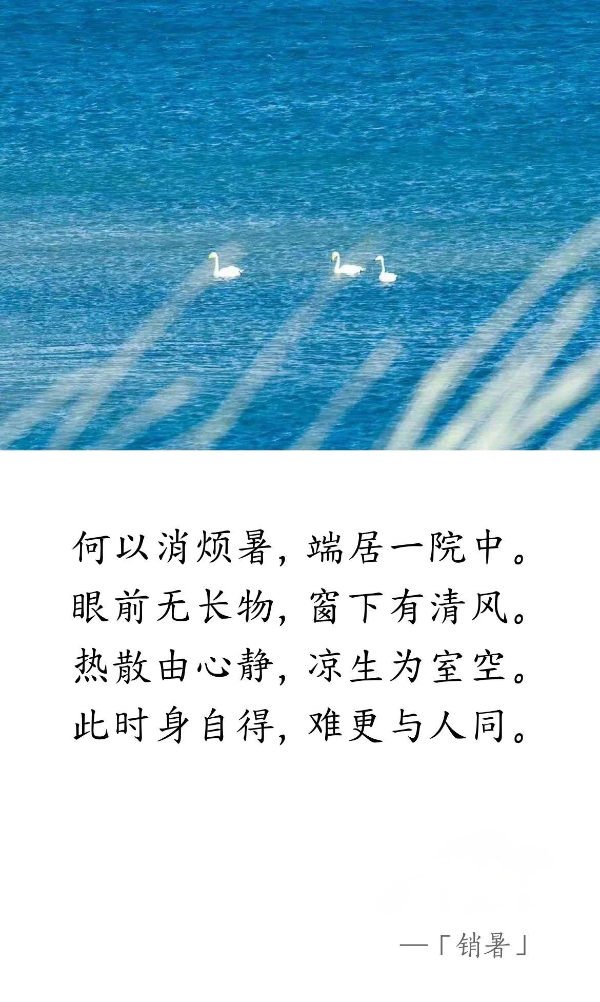 白居易.jpg 唐 · 白居易《消暑》(圖1)