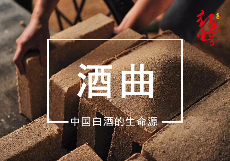 酒曲中國(guó)白酒的生命源10-7.png 為啥越來(lái)越多的人愛(ài)上醬酒(圖1)
