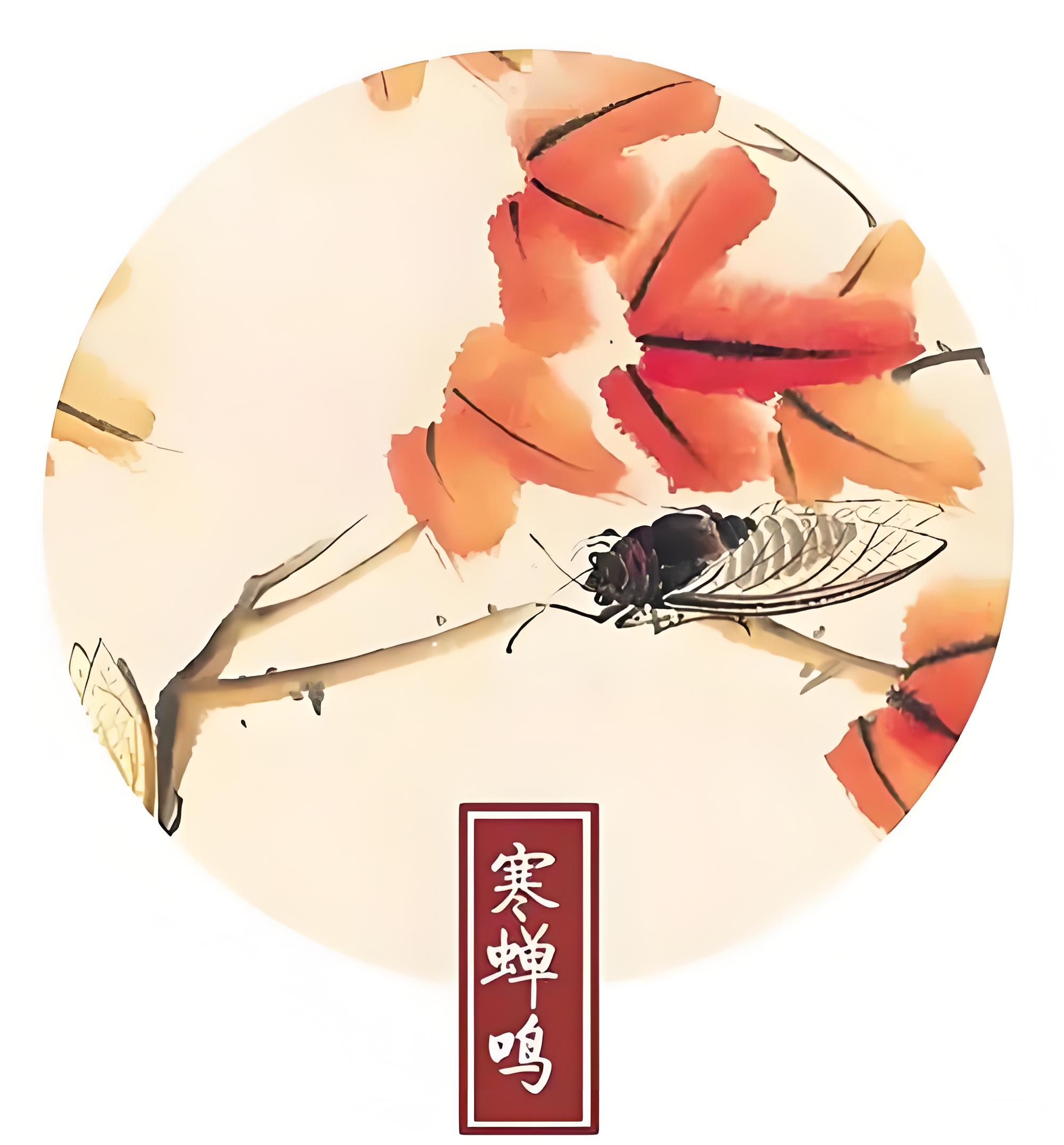 今日立秋 | 立秋至 涼風(fēng)起(圖7)