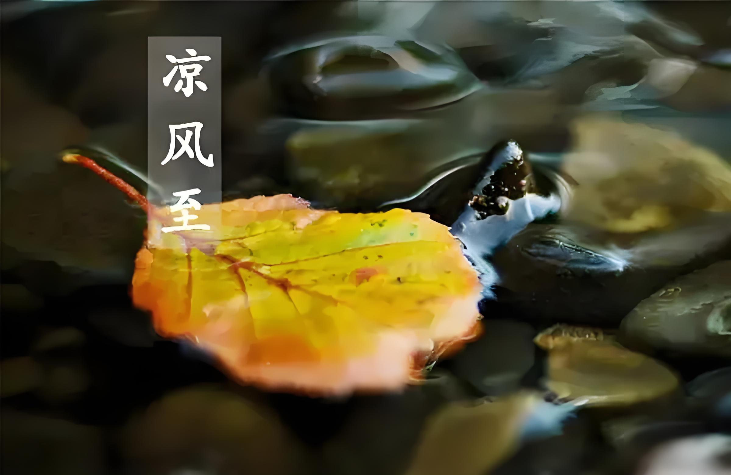 今日立秋 | 立秋至 涼風(fēng)起(圖5)