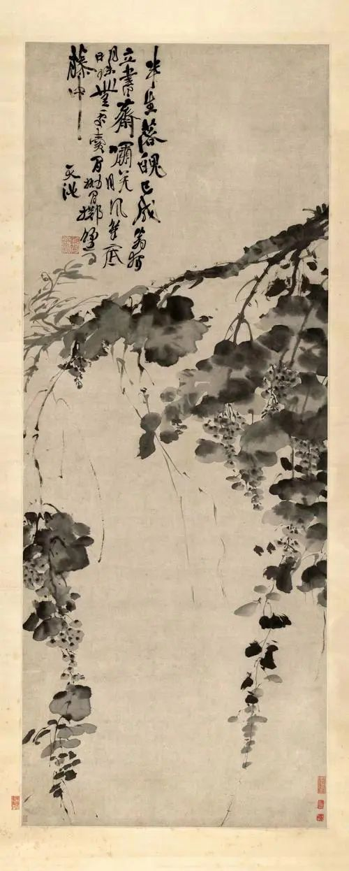 明代 · 徐渭《題葡萄圖》(圖2)