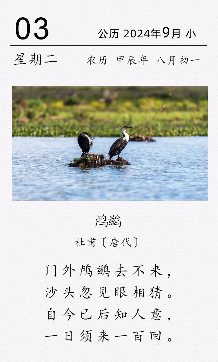 杜甫《?三絕句 · 其二 · 鸕鶿》(圖1) 杜甫《?三絕句 · 其二 · 鸕鶿》(圖1)