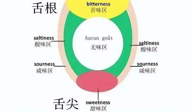 白酒五味“酸、甜、苦、辣、澀”(圖2)