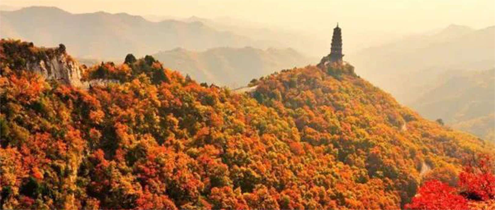 今日寒露：寒意四起，露重天涼人保重；繁華不再，心存高遠(yuǎn)自悠然！(圖9)