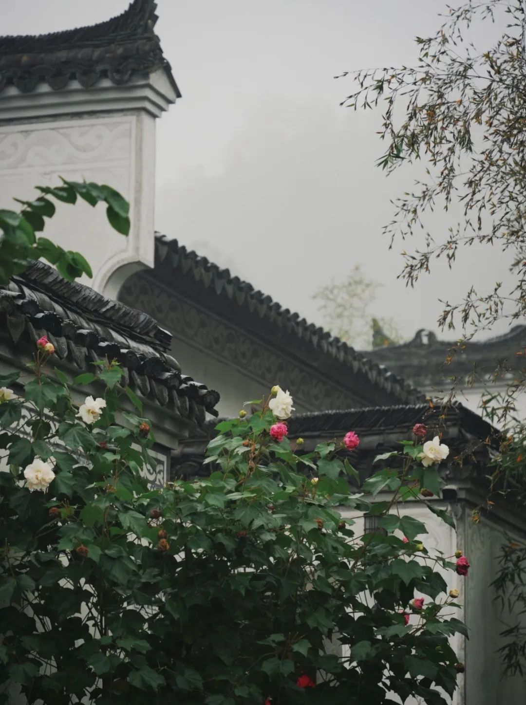 人為什么要度假？(圖8)