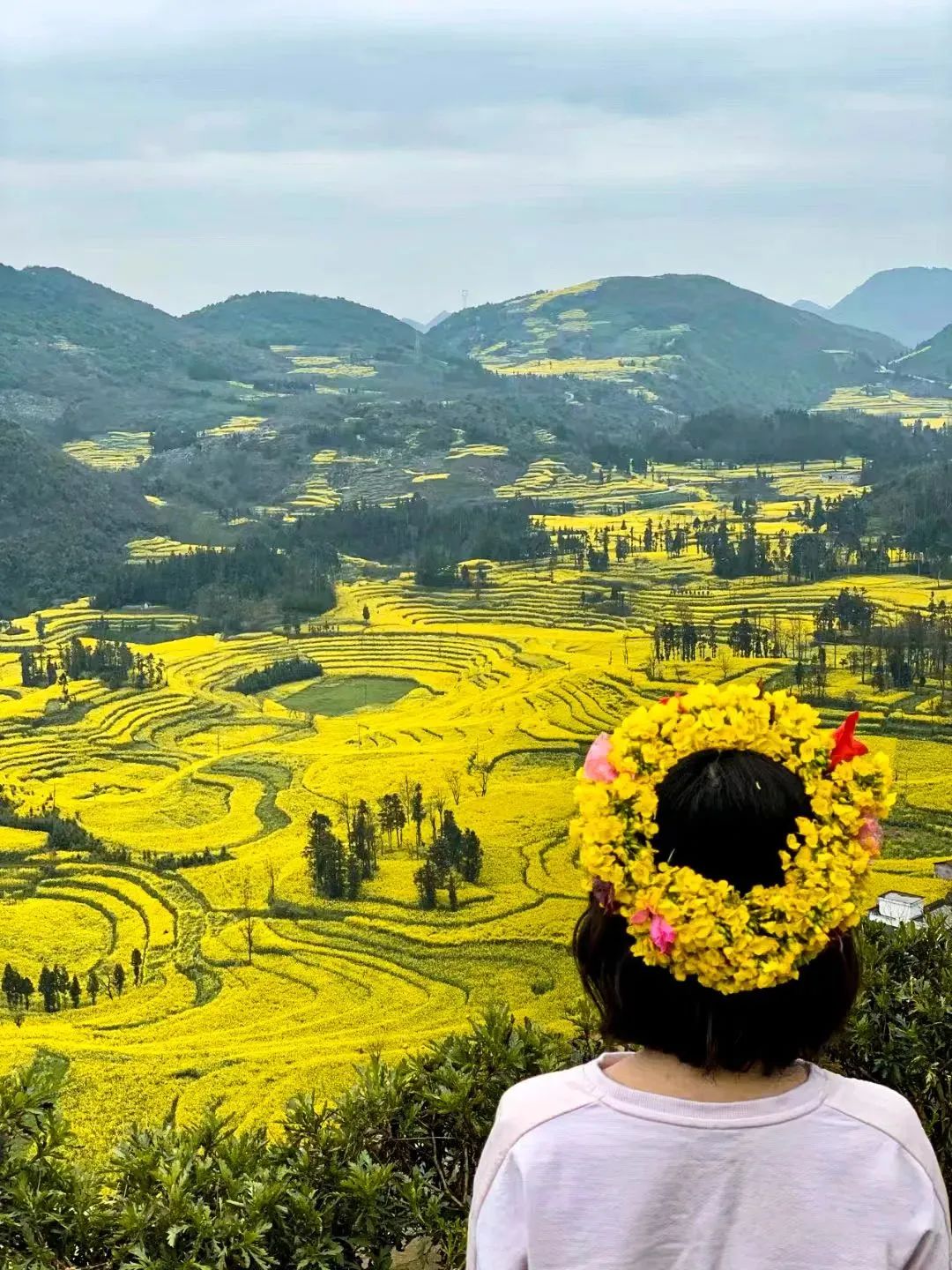 承包“中國(guó)第一抹春色”，花海無敵好看，山水野過桂林！這座十八線小城真的值得！(圖6)