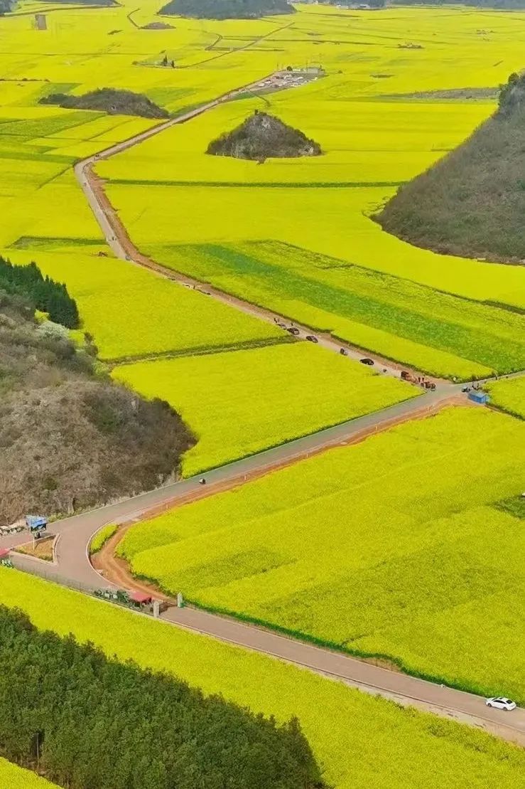承包“中國(guó)第一抹春色”，花海無敵好看，山水野過桂林！這座十八線小城真的值得！(圖11)