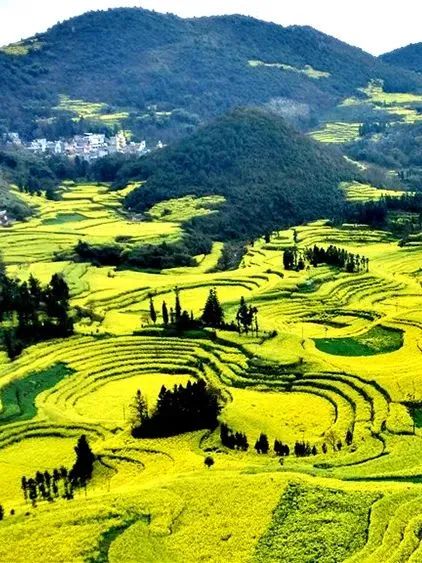 承包“中國(guó)第一抹春色”，花海無敵好看，山水野過桂林！這座十八線小城真的值得！(圖15)