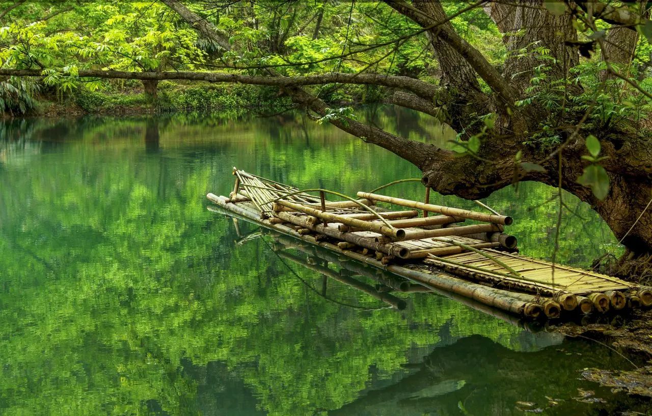 承包“中國(guó)第一抹春色”，花海無敵好看，山水野過桂林！這座十八線小城真的值得！(圖23)