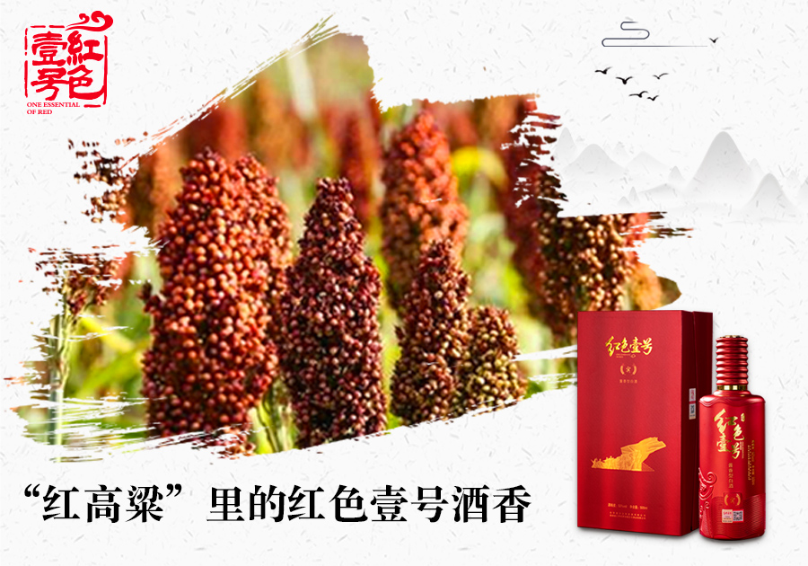 小年話醬酒：釀優(yōu)質(zhì)醬酒為什么一定要紅纓子糯高粱？(圖3)