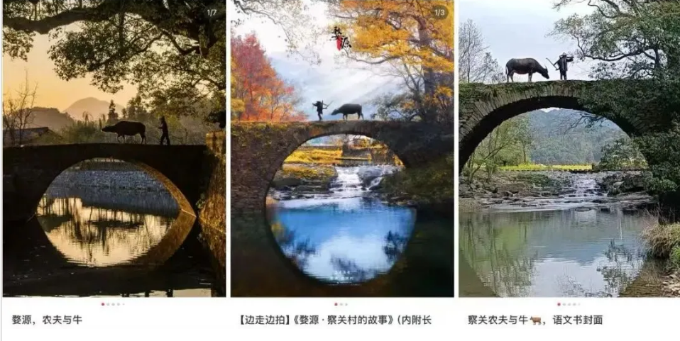 他們?nèi)克烙诼糜螘r拍攝的“人生照片”(圖7) 他們?nèi)克烙诼糜螘r拍攝的“人生照片”(圖7)