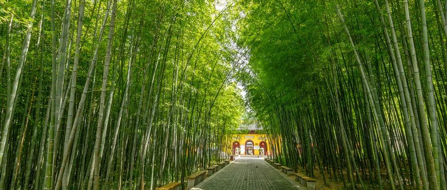 拿得起，放得下，人間最美是釋懷(圖7)