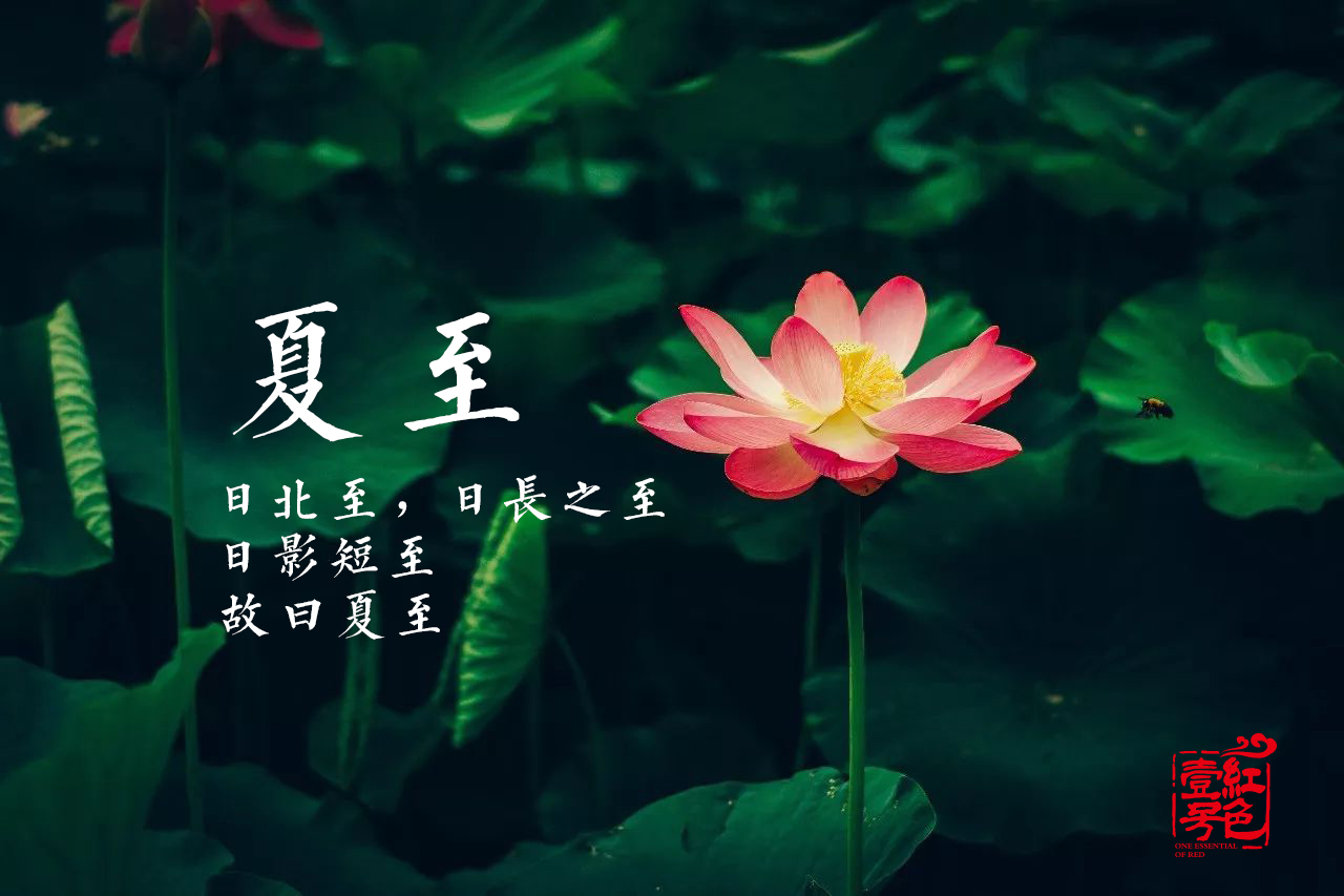 五月再見，六月你好，愿你不慌不忙，每天都是好時光!(圖2)
