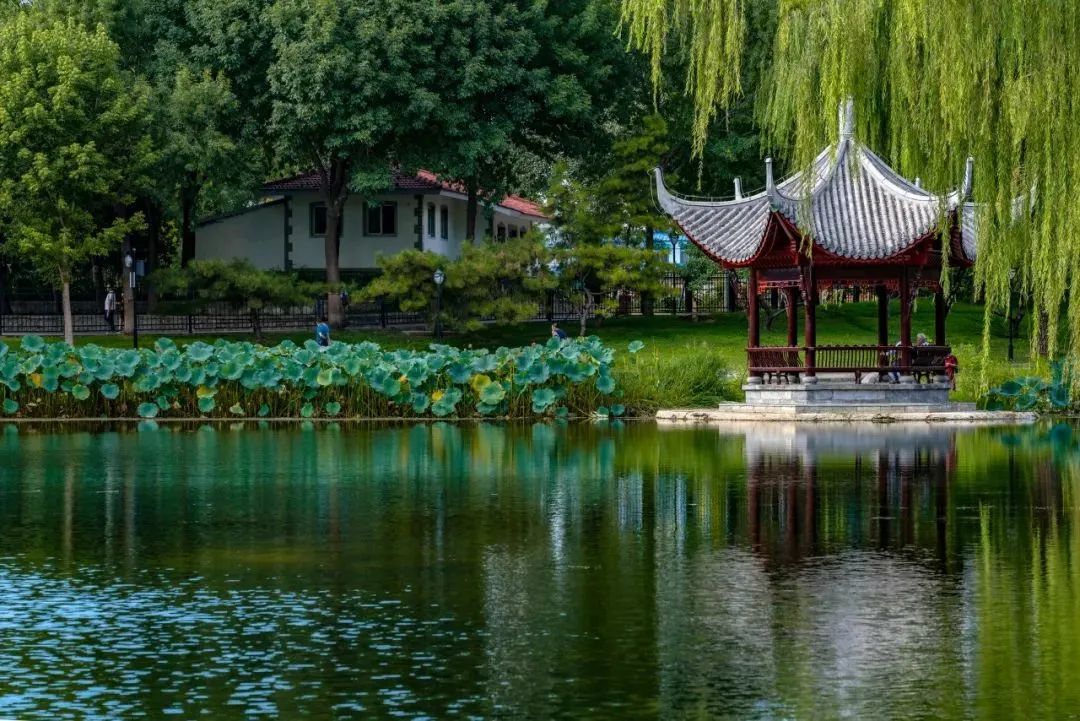 8首夏夜詩詞：我在等風(fēng)，也等你(圖1)