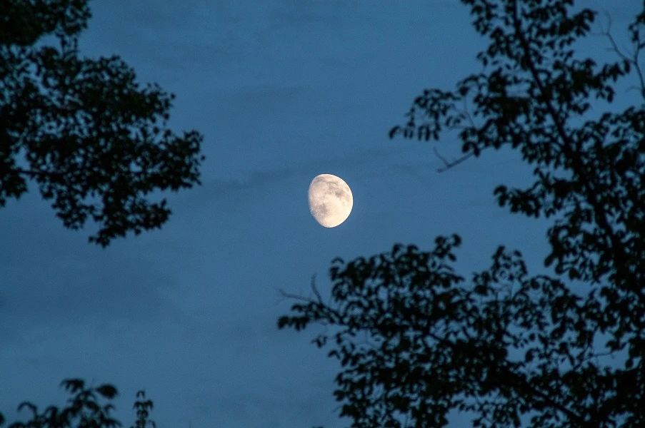 8首夏夜詩詞：我在等風(fēng)，也等你(圖3)
