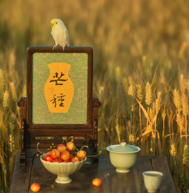 唐 · 元稹《詠廿四氣詩 · 芒種五月節(jié) 》(圖1)