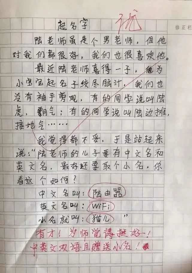 小學生作文《熱死了》走紅，老師看后直接給滿分：我拜你為師吧！(圖4)