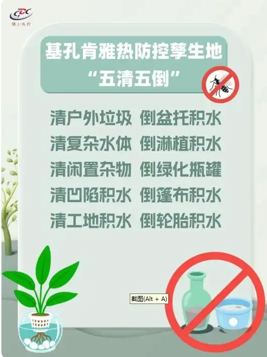 科學(xué)與健康｜清積水，滅蚊蟲！基孔肯雅熱這樣防(圖1)