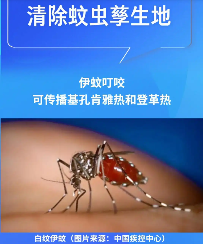科學(xué)與健康｜清積水，滅蚊蟲！基孔肯雅熱這樣防(圖2)